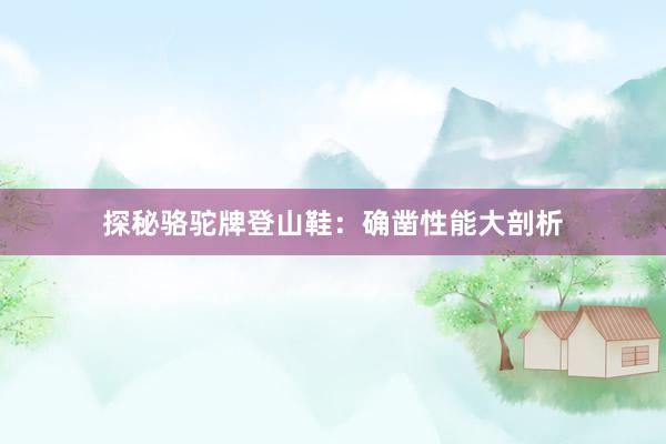 探秘骆驼牌登山鞋：确凿性能大剖析