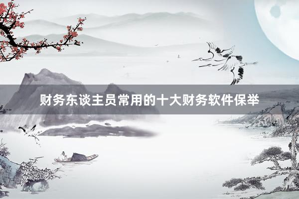 财务东谈主员常用的十大财务软件保举